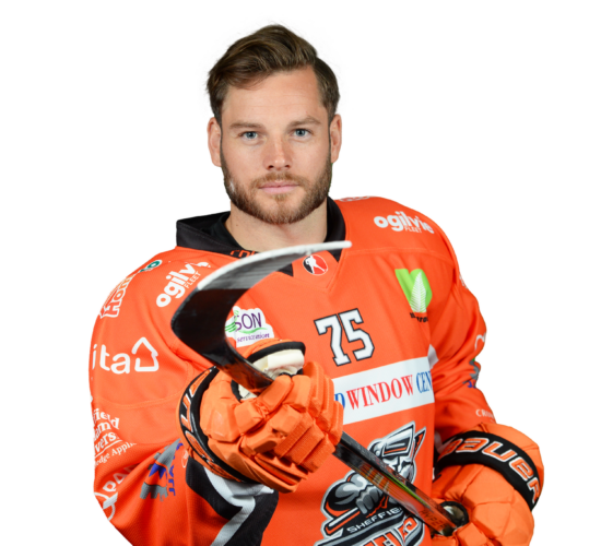 Pin by Ally Hall on Sheffield Steelers  Sheffield steelers, Ice hockey,  Hockey