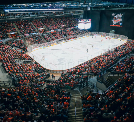 Sheffield Steelers - 